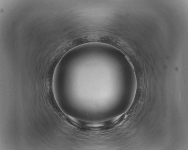 X0000072500697200607211250