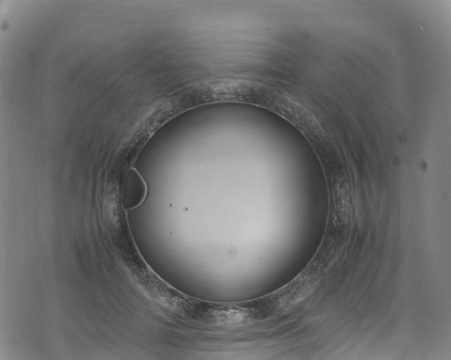 X0000072500698200607211250