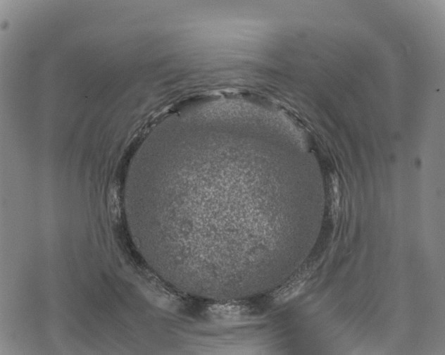 X0000072500699200607211250