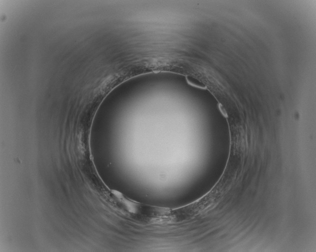 X0000072500700200607211250