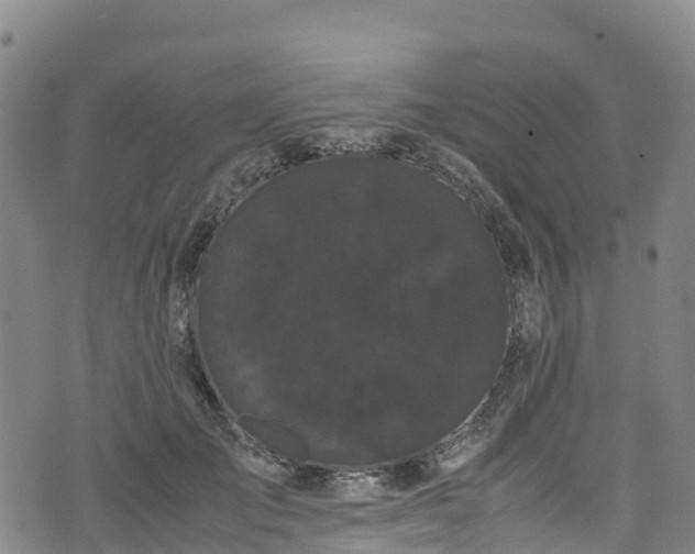 X0000072500701200607211250