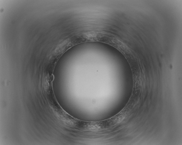 X0000072500702200607211249