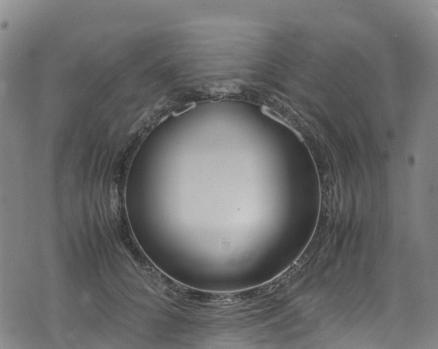 X0000072500704200607211249