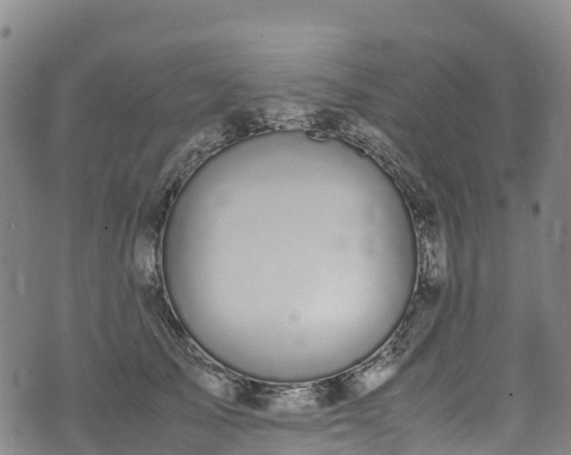 X0000072500705200607211249