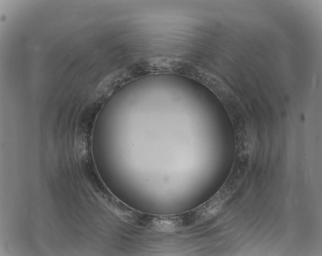 X0000072500706200607211249