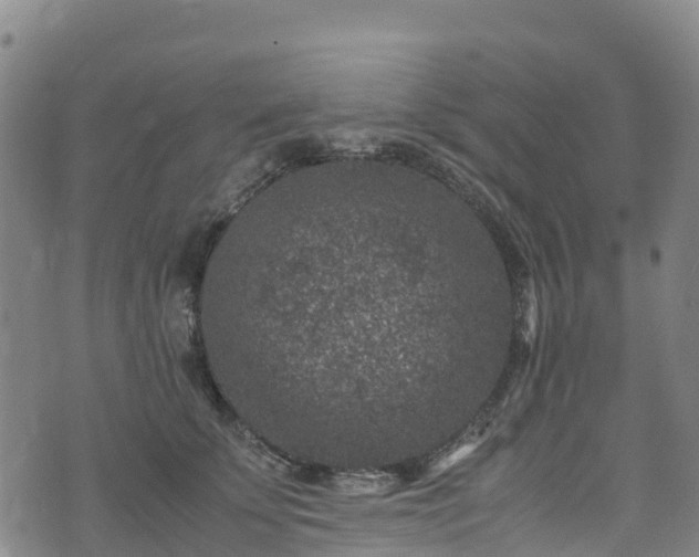 X0000072500707200607211249