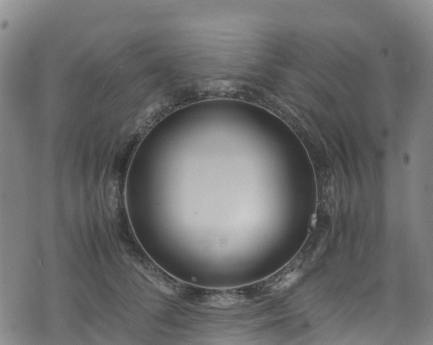 X0000072500708200607211249