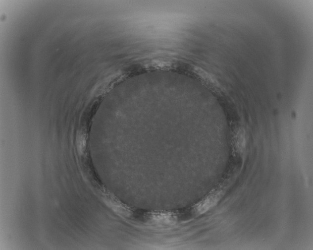 X0000072500709200607211249