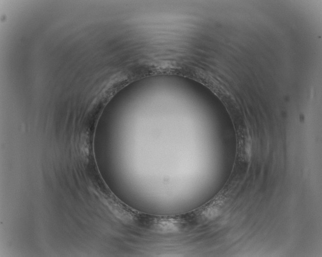 X0000072500710200607211249