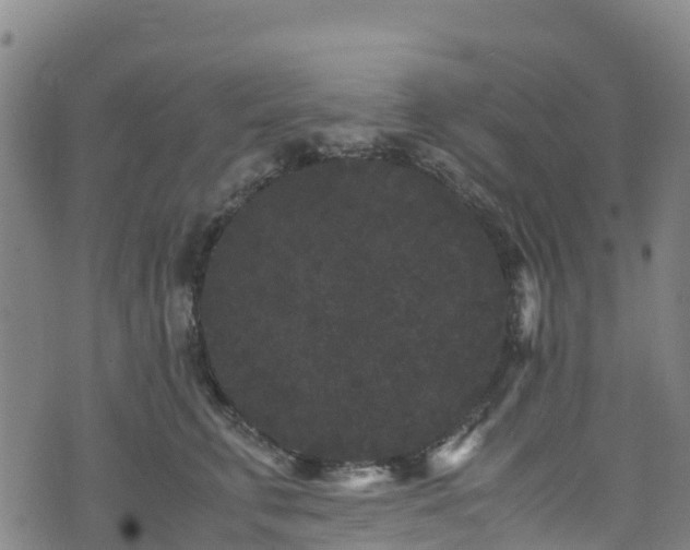 X0000072500711200607211249