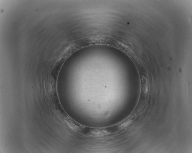 X0000072500712200607211249