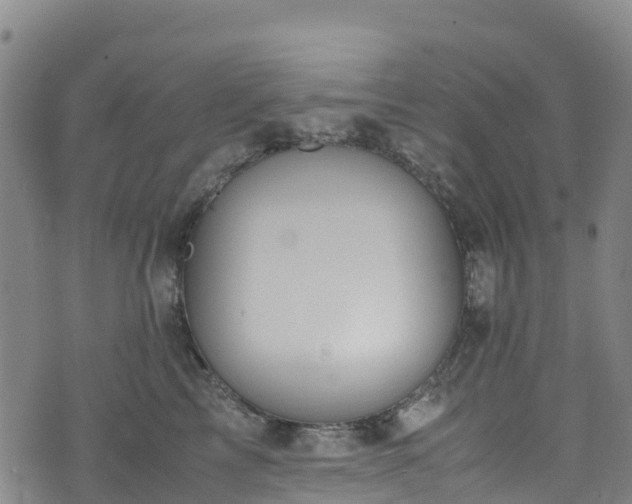 X0000072500713200607211249