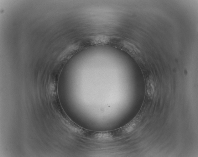 X0000072500714200607211249