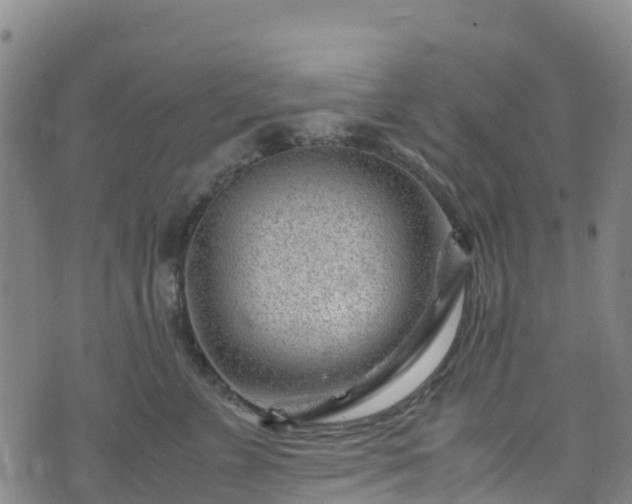 X0000072500715200607211249