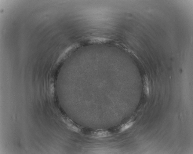 X0000072500716200607211249