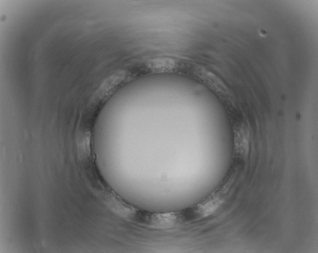 X0000072500717200607211249