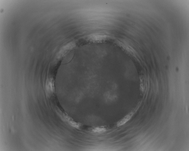 X0000072500718200607211249