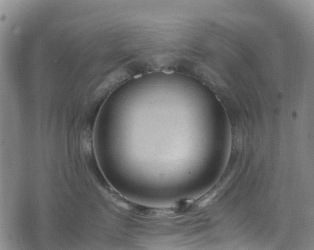 X0000072500719200607211249