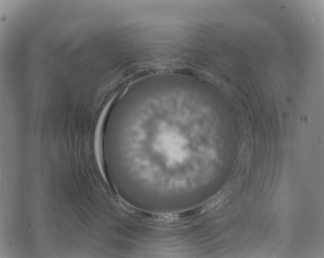 X0000072500720200607211249