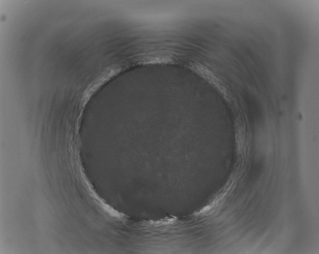 X0000072500721200607211248