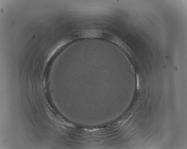 X0000072500723200607211248