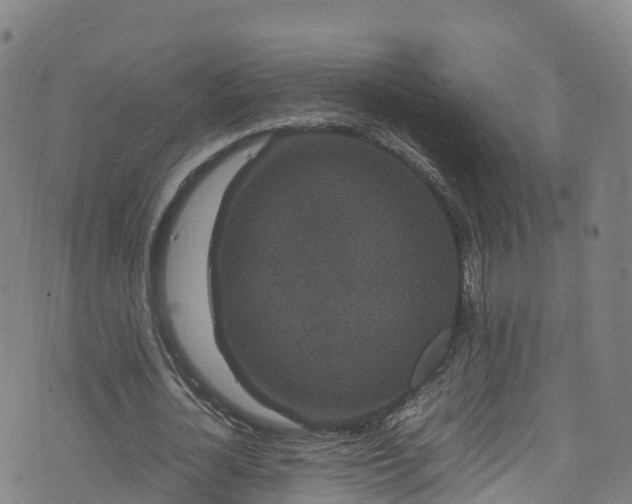 X0000072500724200607211248