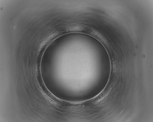 X0000072500725200607211248