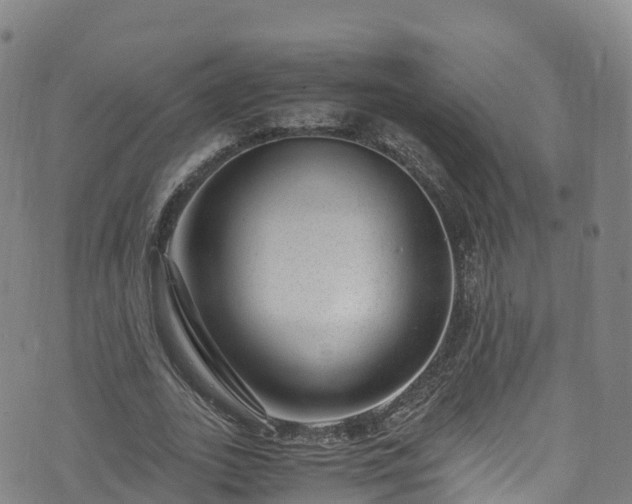 X0000072500727200607211249