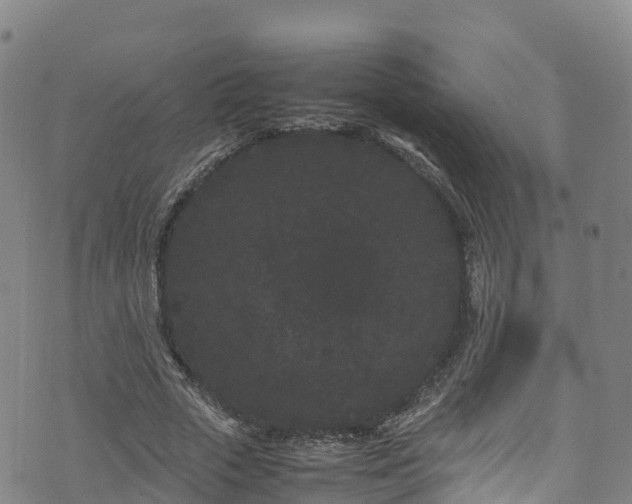 X0000072500729200607211249