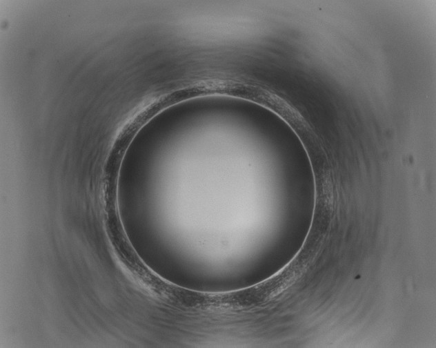 X0000072500730200607211249