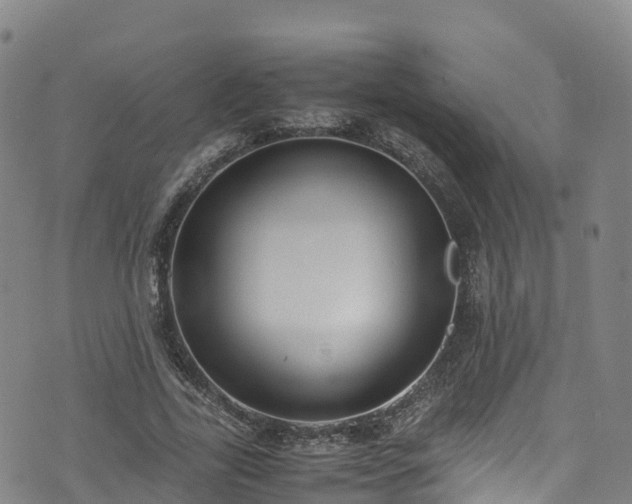 X0000072500731200607211249