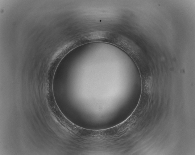 X0000072500732200607211249