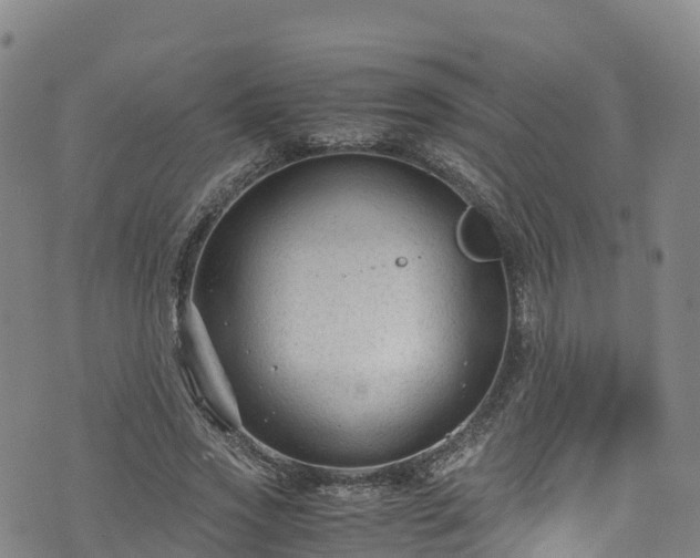 X0000072500733200607211249