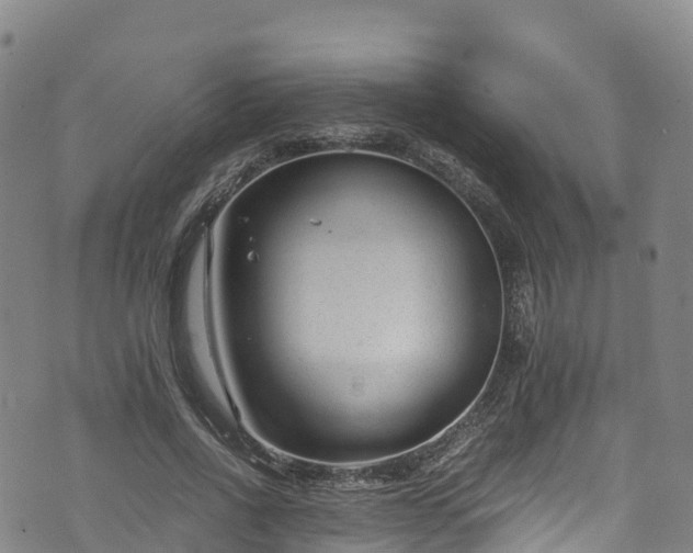 X0000072500734200607211249