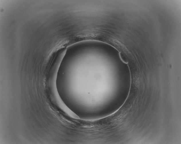 X0000072500735200607211249