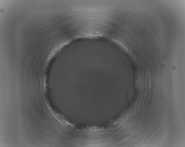 X0000072500736200607211249