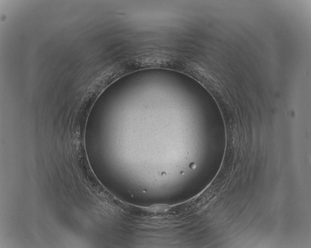 X0000072500737200607211249