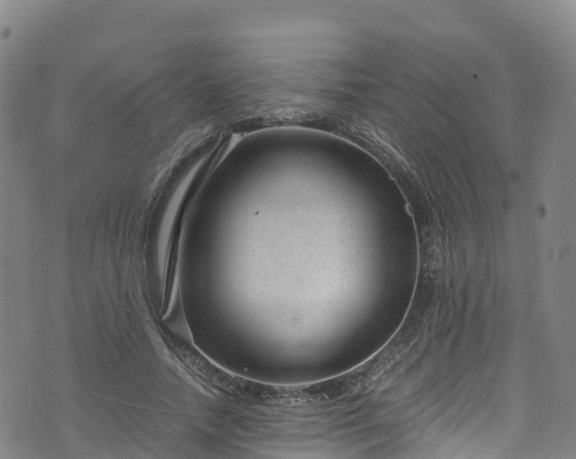 X0000072500738200607211249