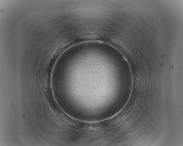 X0000072500739200607211249