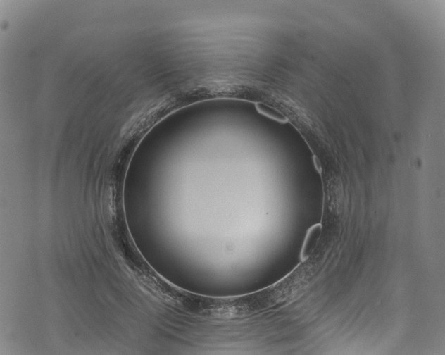 X0000072500740200607211249