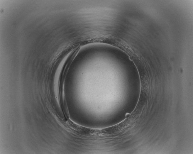 X0000072500742200607211249