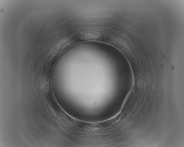 X0000072500743200607211249