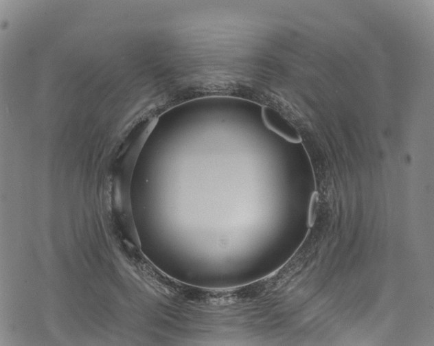 X0000072500744200607211249