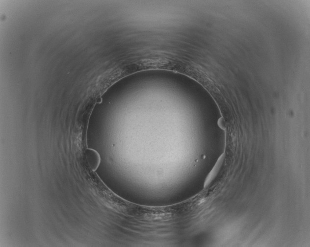 X0000072500745200607211249