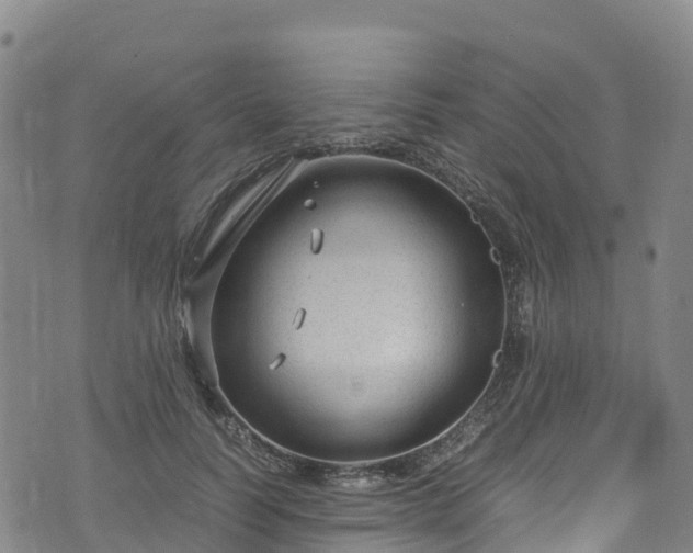 X0000072500746200607211249