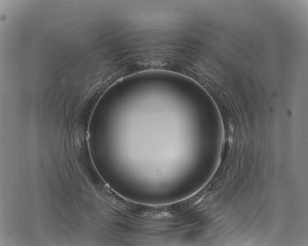 X0000072500747200607211249