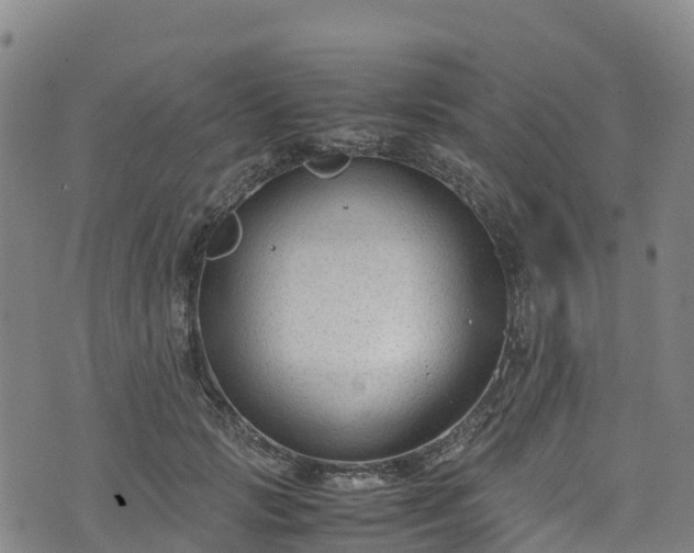 X0000072500749200607211249