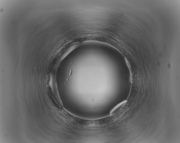 X0000072500750200607211249