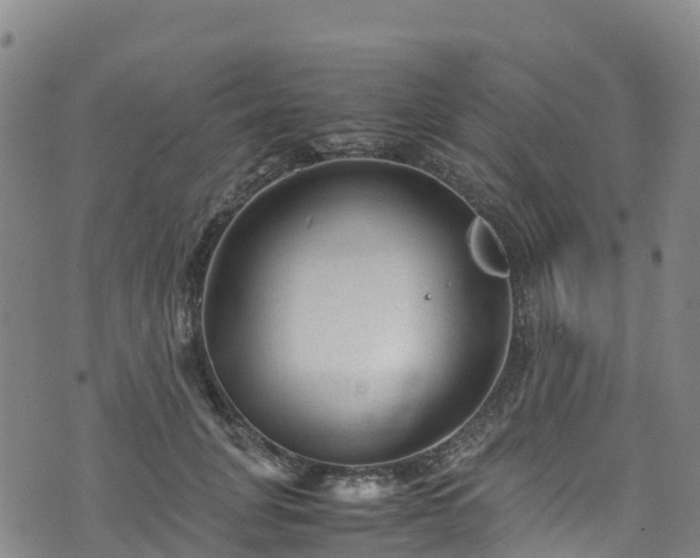 X0000072500751200607211249