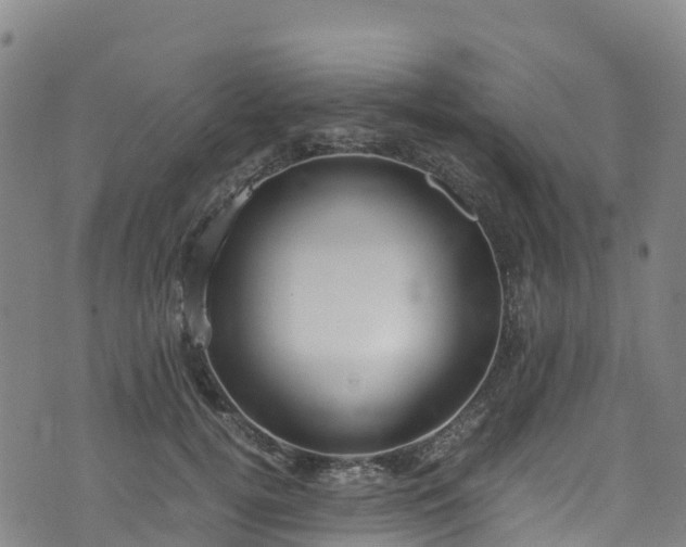 X0000072500752200607211249